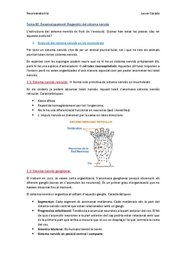 Miniatura del documento Tema B2.pdf