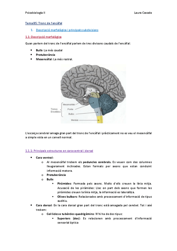 Miniatura del documento Tema B5_Tronc de l’encèfal_Complet.pdf