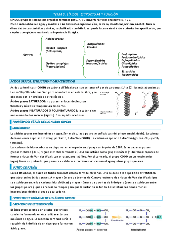 Miniatura del documento TEMA-5-COMPLETO.pdf