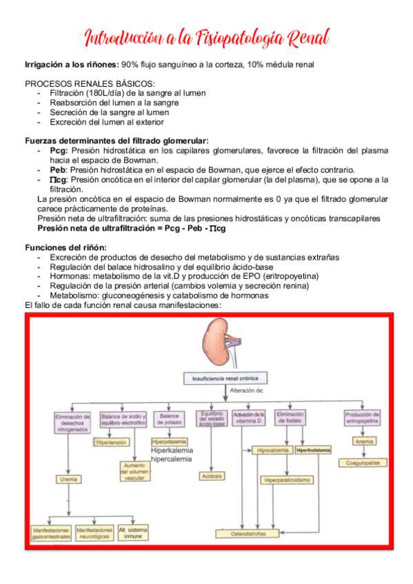 Miniatura del documento Tema-5.pdf