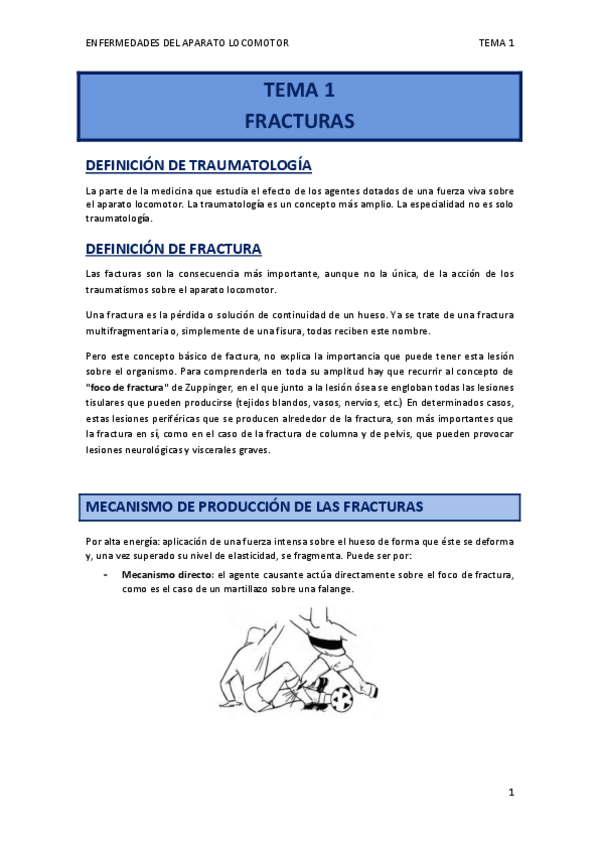 Miniatura del documento TEMA 1.pdf
