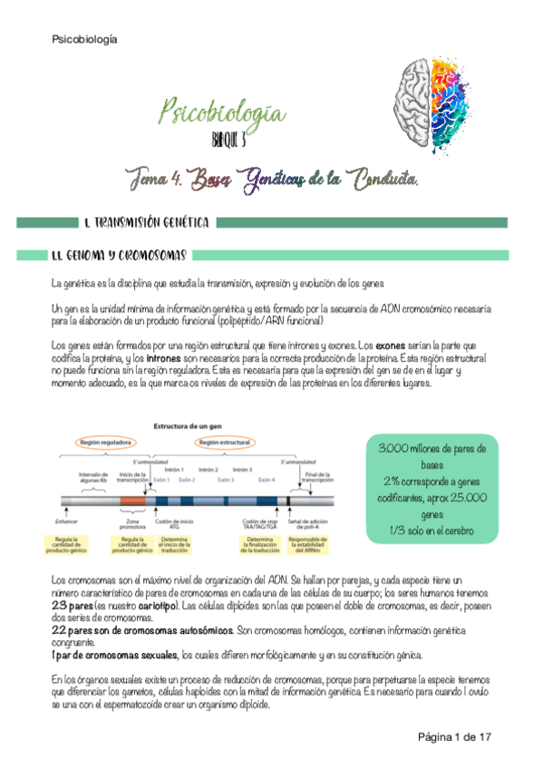 Miniatura del documento Apuntes-PBI-U4.pdf