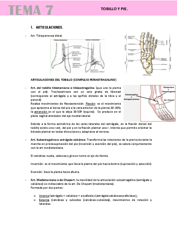 Miniatura del documento TOBILLO-Y-PIE.pdf