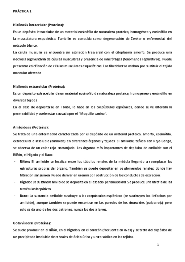 Miniatura del documento DESCRIPCION-PRACTICAS.pdf