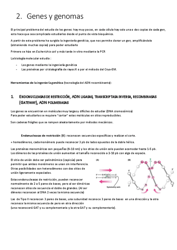Miniatura del documento t-2.pdf
