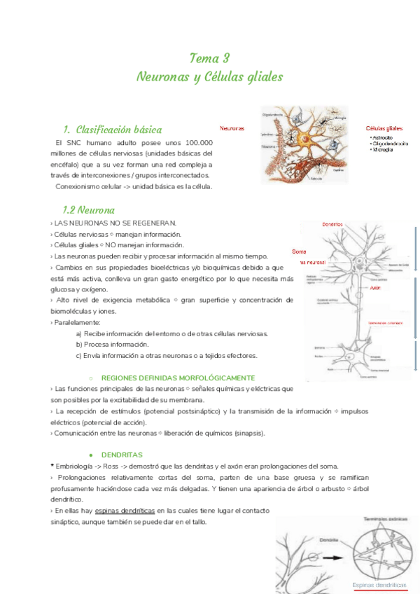 Miniatura del documento Tema-3.pdf