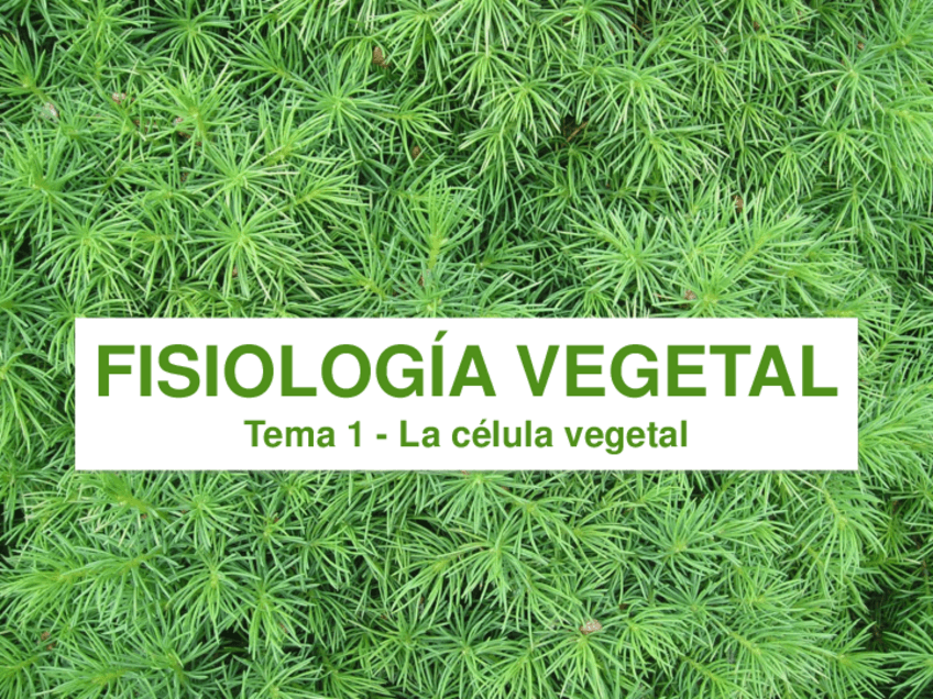 Miniatura del documento Tema-1.pdf