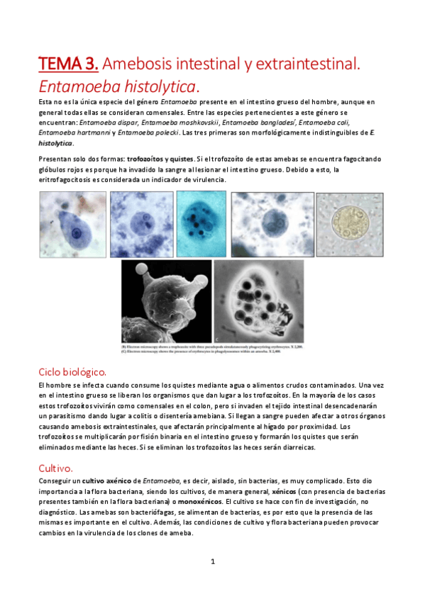 Miniatura del documento TEMA-3.pdf