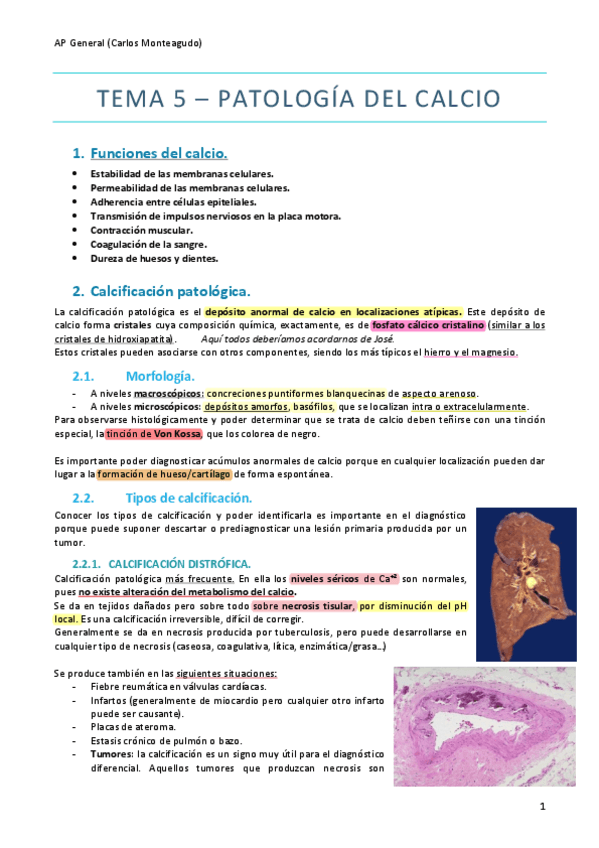 Miniatura del documento Tema-5-Patologia-del-calcio-APG.pdf
