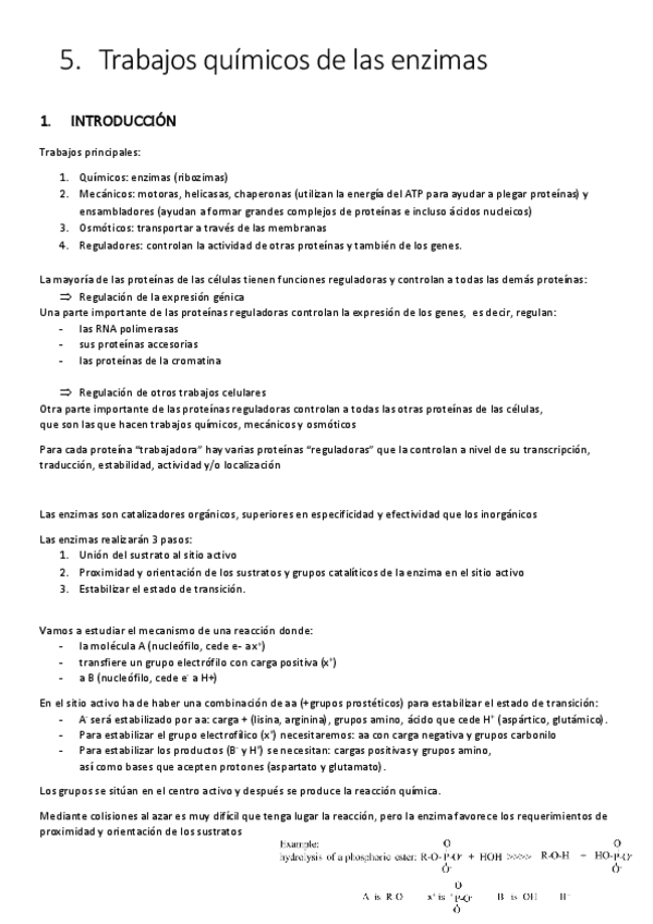 Miniatura del documento t-5.pdf