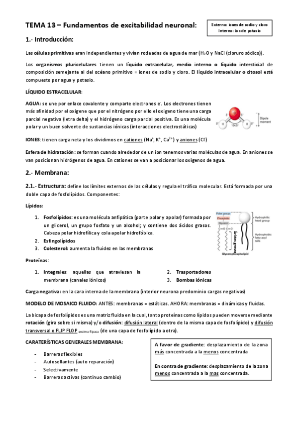 Miniatura del documento TEMA-13-BLOQUE-V.pdf