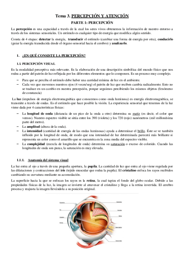 Miniatura del documento Tema-3.pdf