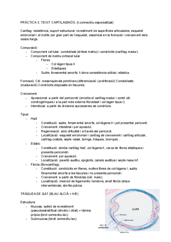 Miniatura del documento PRACTICA-3.pdf