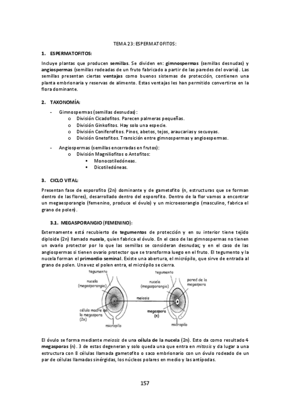 Miniatura del documento Tema-23-Espermatofitos.pdf