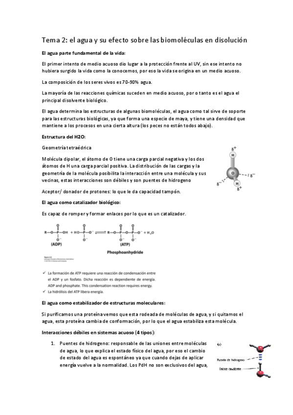 Miniatura del documento tema-2-el-agua.pdf