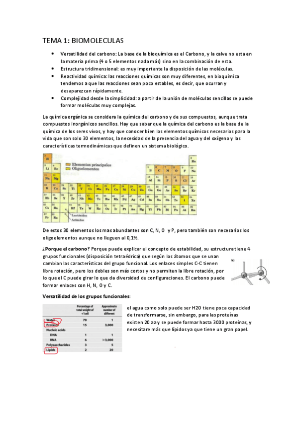 Miniatura del documento tema-1-biomoleculas.pdf