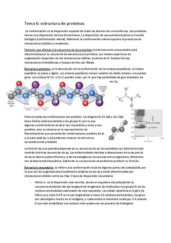 Miniatura del documento tema-6-estructura-proteinas.pdf