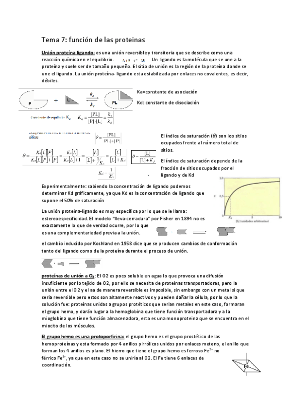 Miniatura del documento tema-7-funcion-de-las-proteinas-hemoglobina.pdf