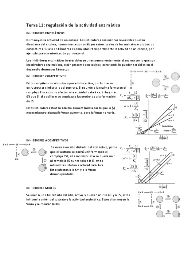 Miniatura del documento tema-11-regulacion-de-la-actividad-enzimatica.pdf