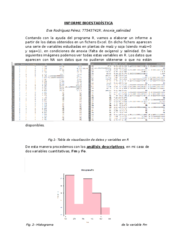Miniatura del documento InformeEvaRodriguez.docx