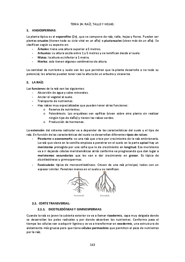 Miniatura del documento Tema-24-Raiz-tallo-y-hojas.pdf