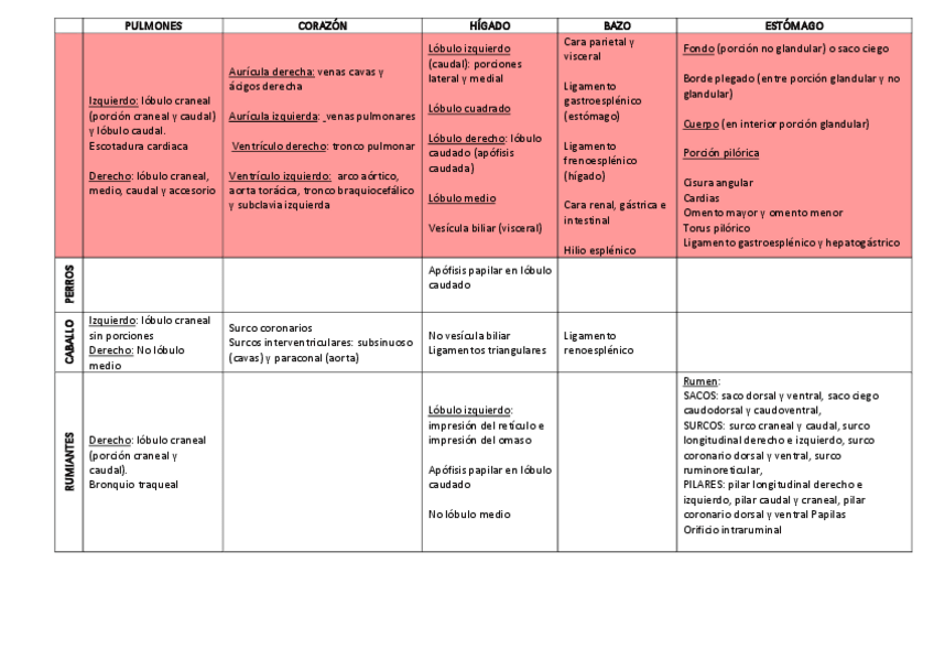 Miniatura del documento DIFERENCIAS-INTERESPECIFICAS-VISCERAS.pdf