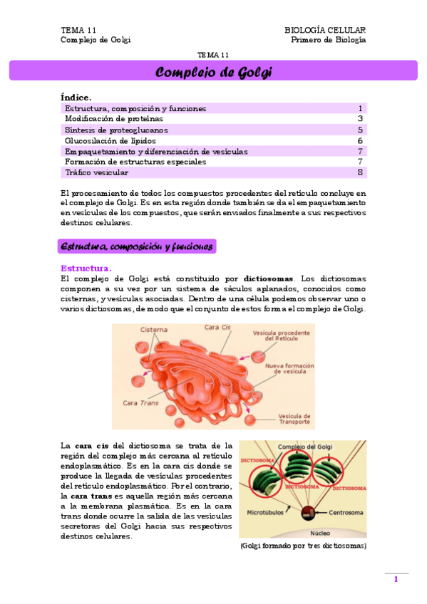 Miniatura del documento TEMA 11. Complejo de Golgi