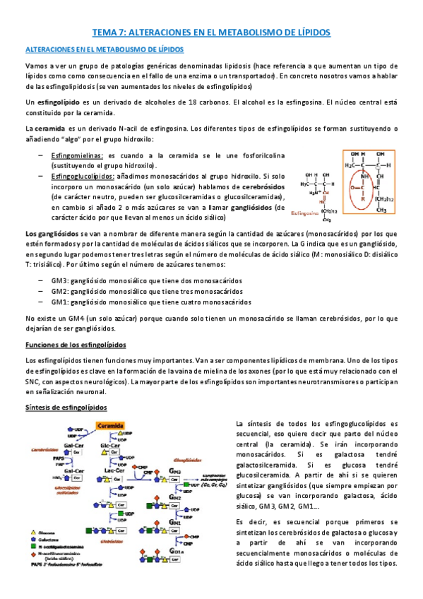 Miniatura del documento TEMA-7-BQ.pdf