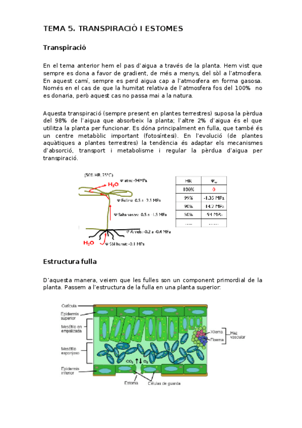 Miniatura del documento 5.odt