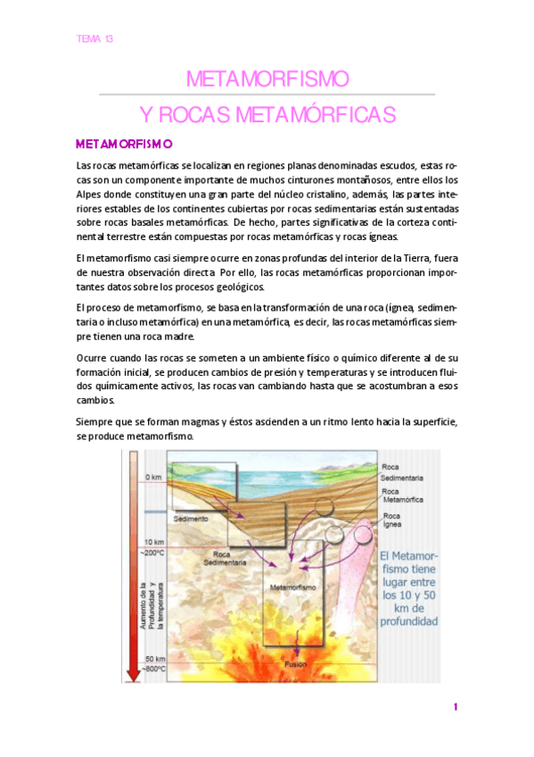 Miniatura del documento TEMA13.pdf