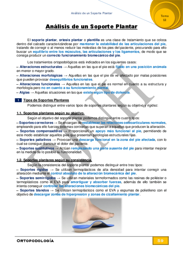 Miniatura del documento 12.pdf