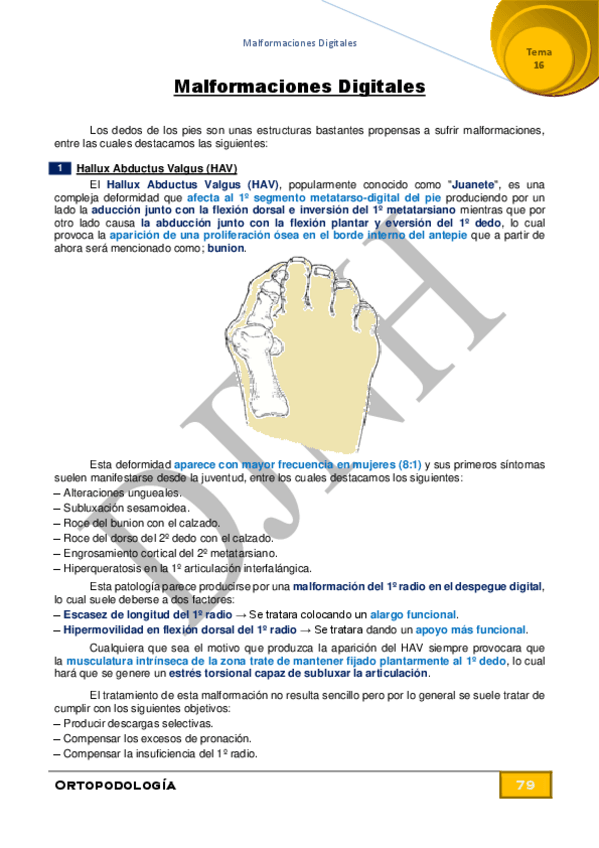 Miniatura del documento 16.pdf