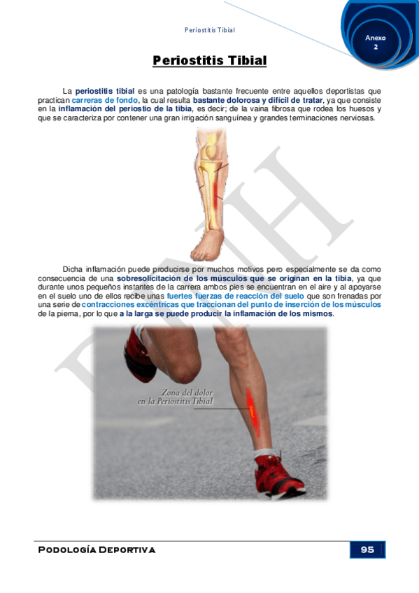 Miniatura del documento Anexo-2Periostitis-Tibial.pdf