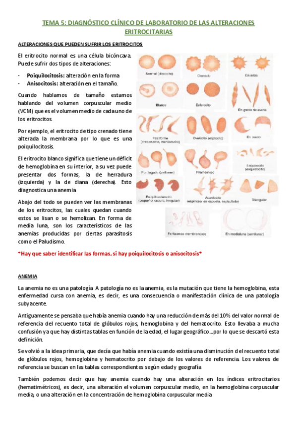 Miniatura del documento TEMA-5.pdf