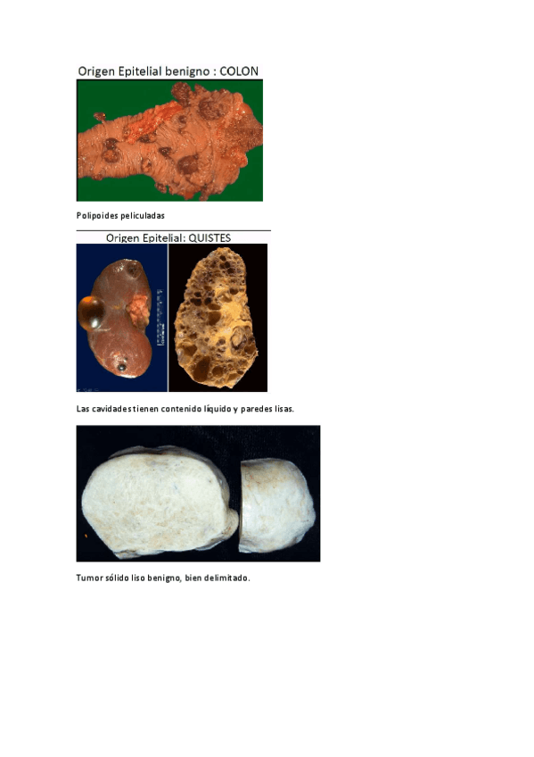 Miniatura del documento Practica-4.pdf