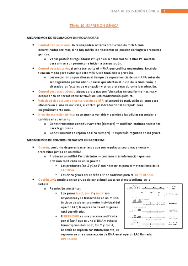 Miniatura del documento tema-10.pdf