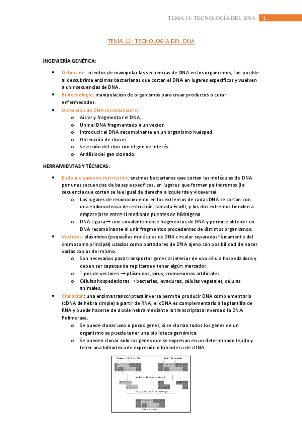Miniatura del documento tema-11.pdf