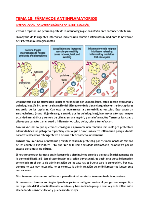 Miniatura del documento TEMA-18.pdf