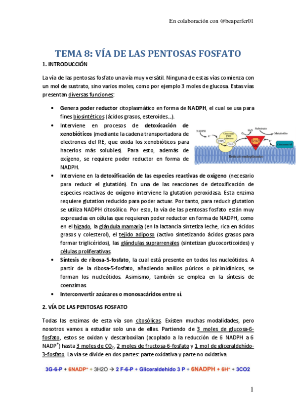 Miniatura del documento TEMA-8.pdf