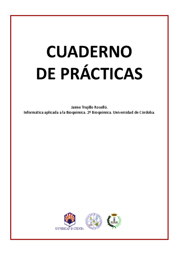 Miniatura del documento Memoria-FINAL.pdf