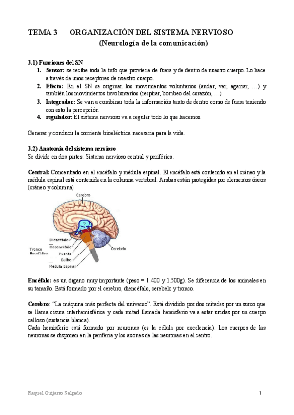 Miniatura del documento tema-3-fisiopatologia.pdf