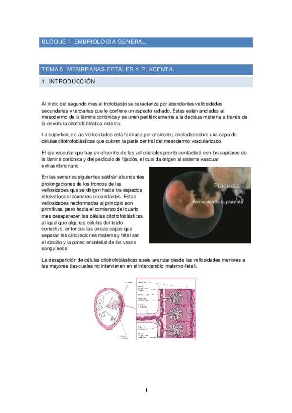 Miniatura del documento Tema-5.pdf