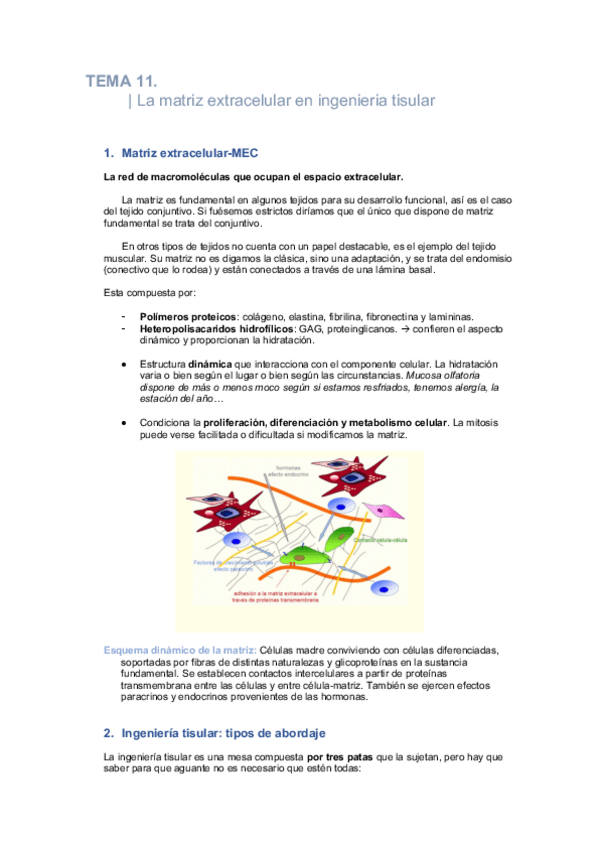 Miniatura del documento TEMA-11.pdf
