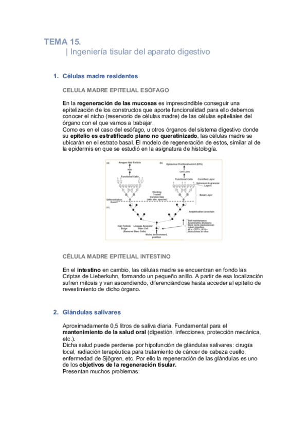 Miniatura del documento Tema-15-Biomedicina.pdf