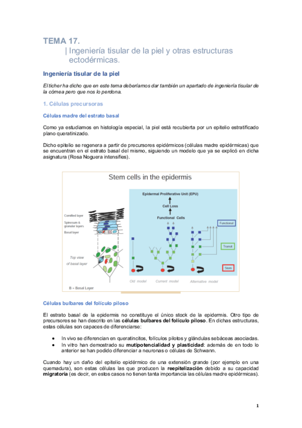 Miniatura del documento Biomedicina-T17.pdf