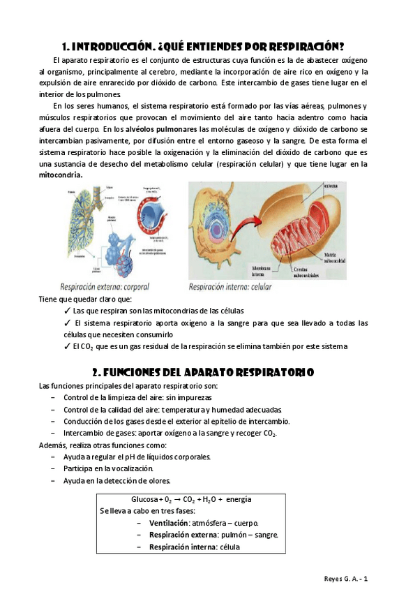 Miniatura del documento TEMA-4.pdf