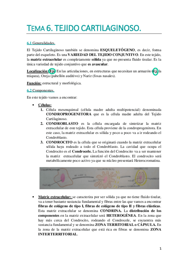Miniatura del documento TEMA 6. WUOLAH DEFINITIVO.pdf