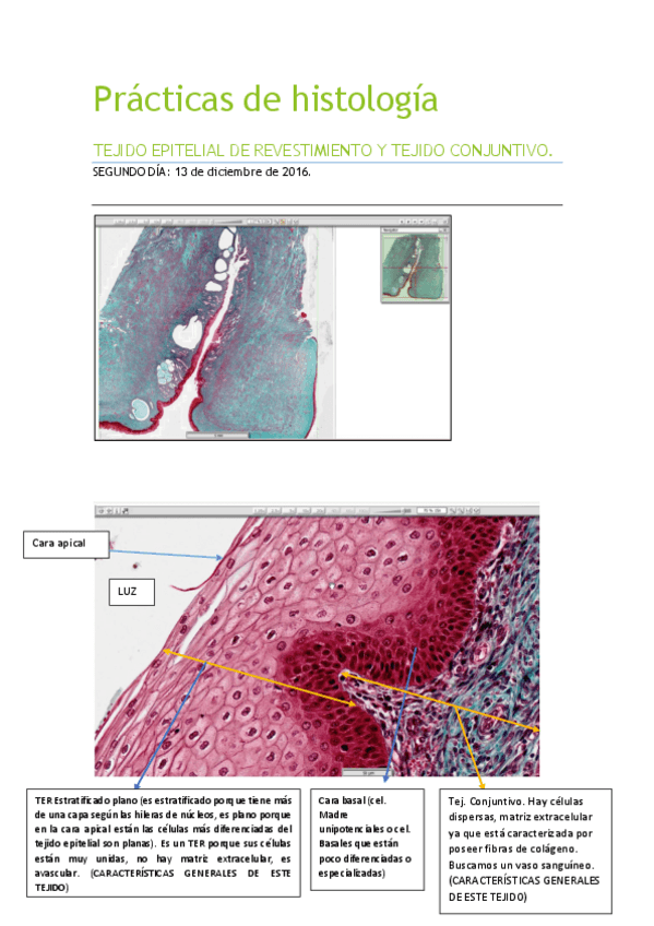 Miniatura del documento DÍA 2 PRÁCTICAS.pdf