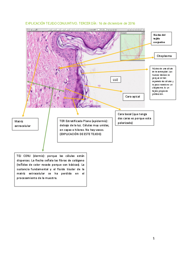 Miniatura del documento TERCER DÍA PRÁCTICAS.pdf