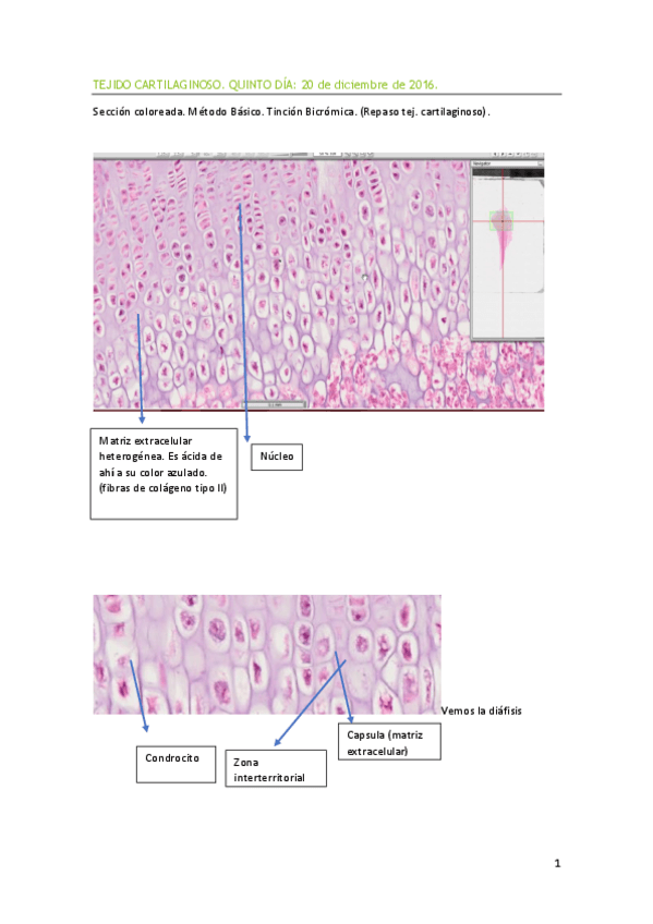 Miniatura del documento QUINTO DÍA PRÁCTICAS.pdf